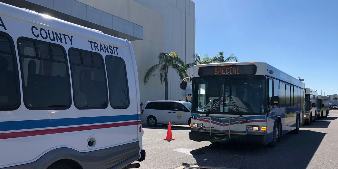 Votran buses lined up for evacuation services.